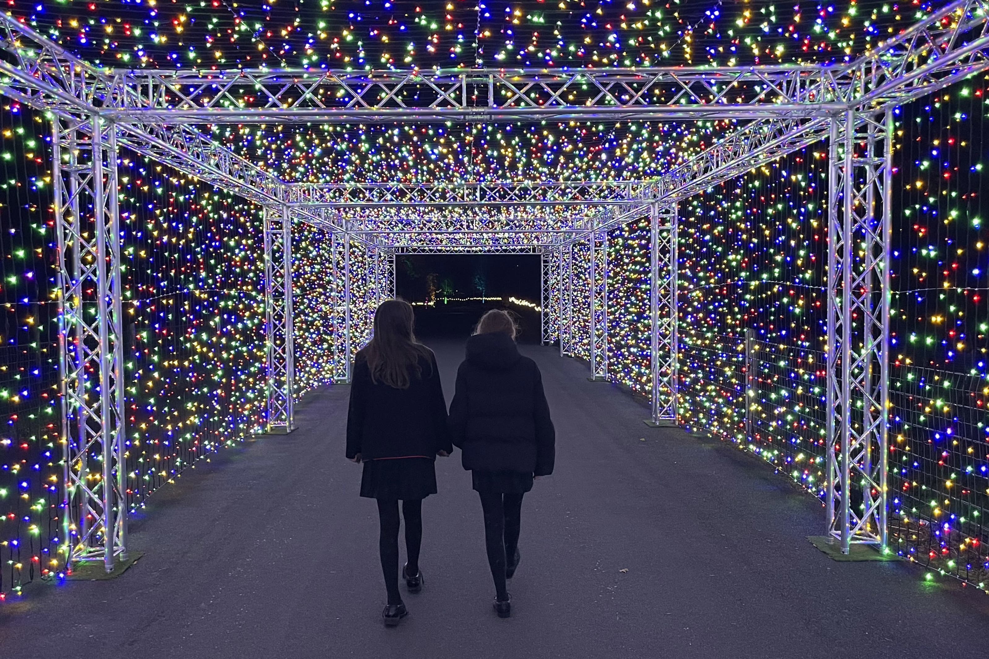 Zoo unveils winter lights display with glowing see-saws and 500,000 bulbs - Vimarsana News