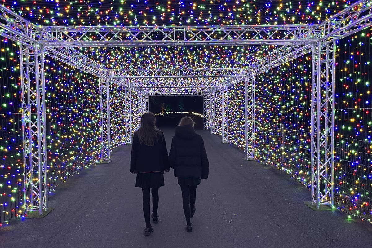 Зоопаркът разкрива зимни светлини със светещи люлки и 500 000 крушки