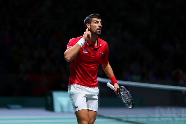 <p>Djokovic reacts to the British fans during his win against Cameron Norrie </p>