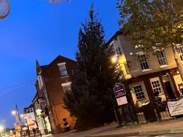 <p>The leaning Christmas tree of March, which has split the town ahead of its lights turn-on event</p>
