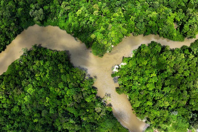 <p>Deforestation in Brazil — which threatens the Amazon Rainforest, pictured above, — could hit an all-time low in the next 1-2 years, one government official said this week.</p>