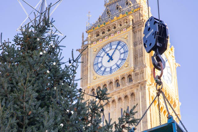 The tree was put up next to Big Ben on Saturday (UK Parliament/Roger Harris/PA)