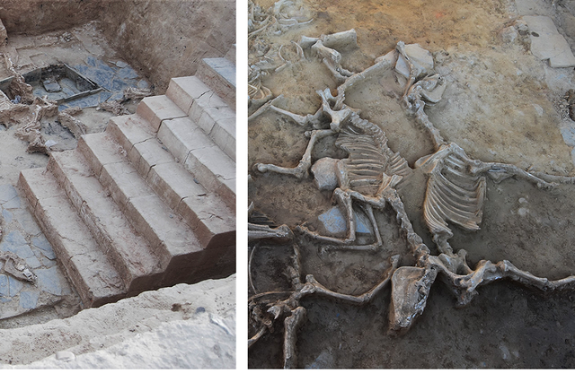 <p>Scientists said the site at Casas del Turu?uelo also exhibits unique features compared to other sites, such as the high abundance of sacrificed horses</p>