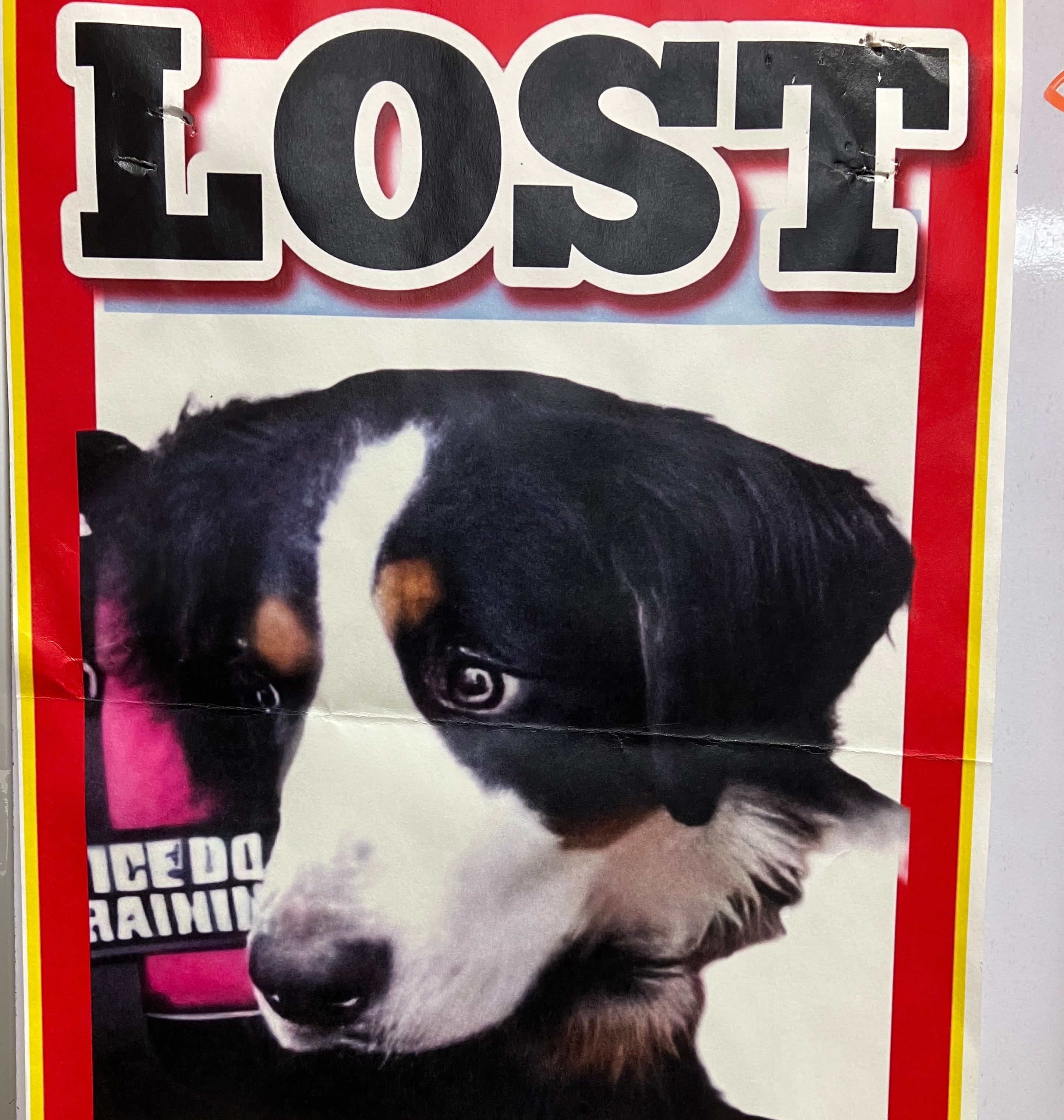A missing poster for Nova