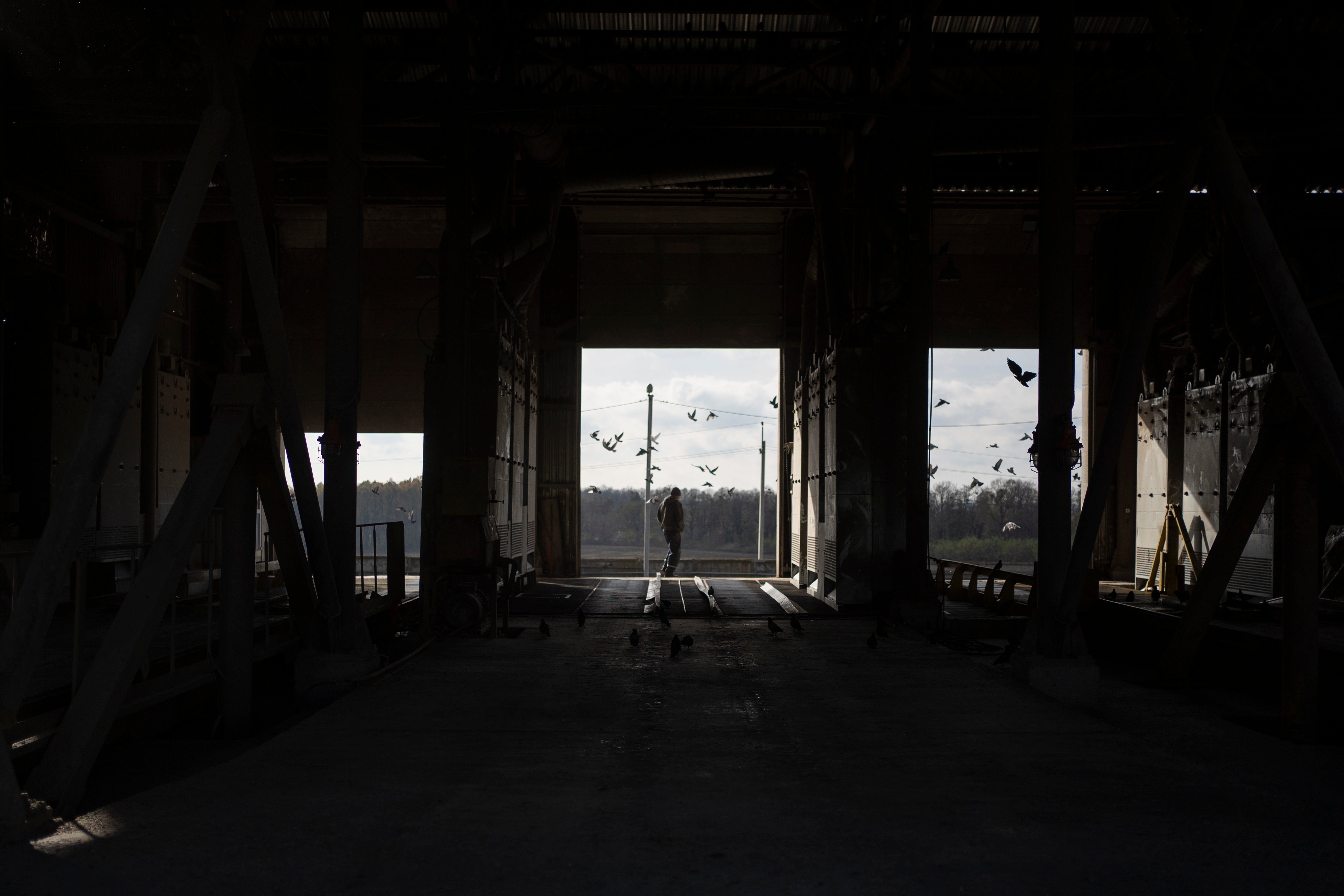 Russia Ukraine War Grain