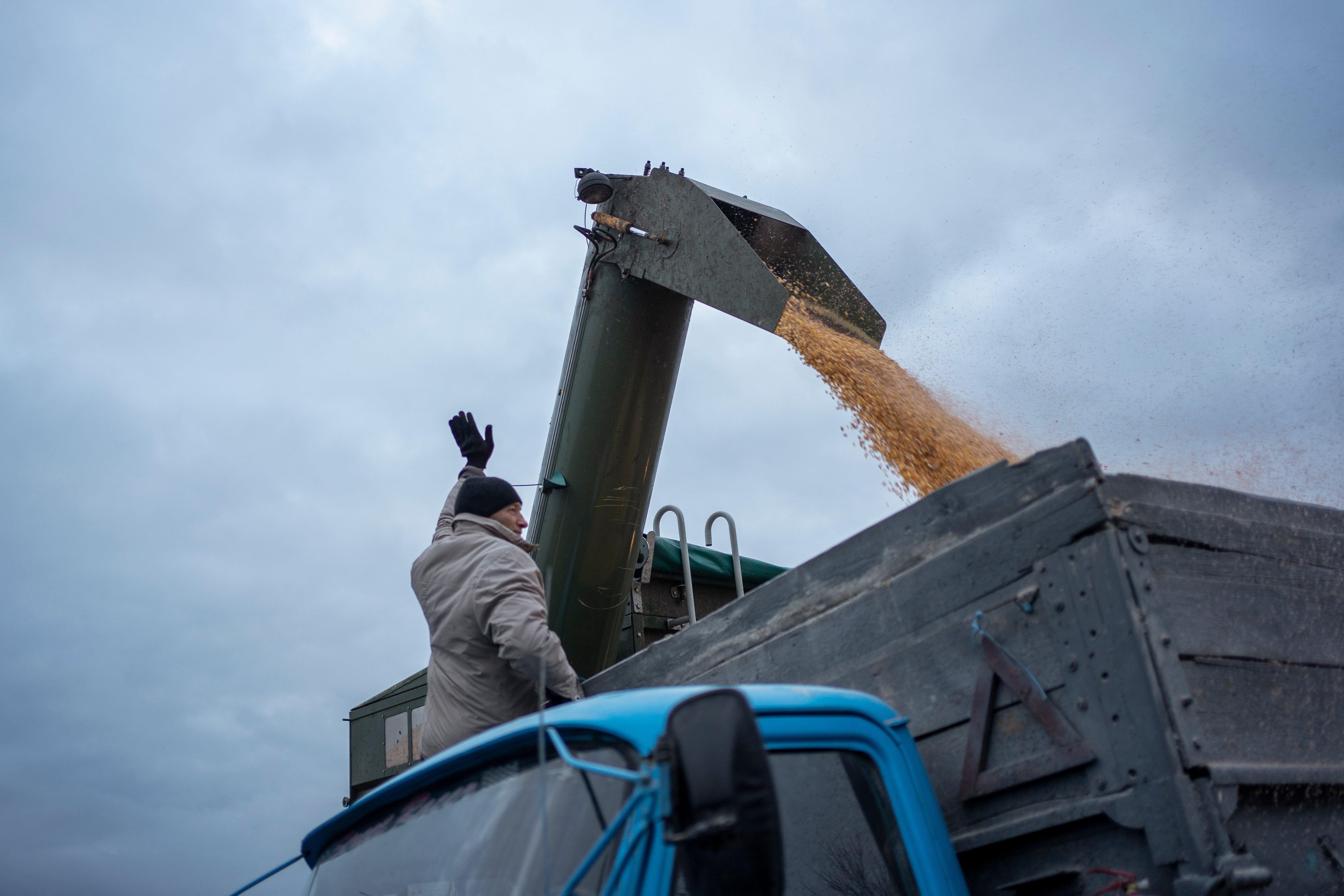 Russia Ukraine War Grain