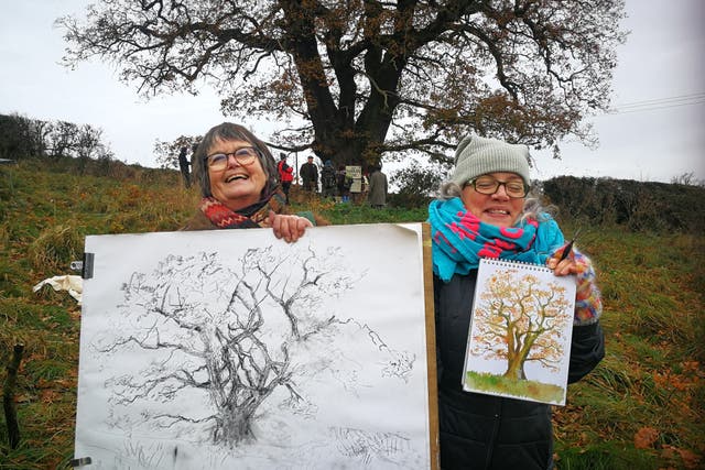 More than 50 people gathered to create images of the Darwin Oak in protest against its potential felling (Rob McBride @thetreehunter/PA)