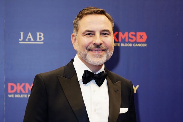 <p>David Walliams (Aaron Chown/PA)</p>