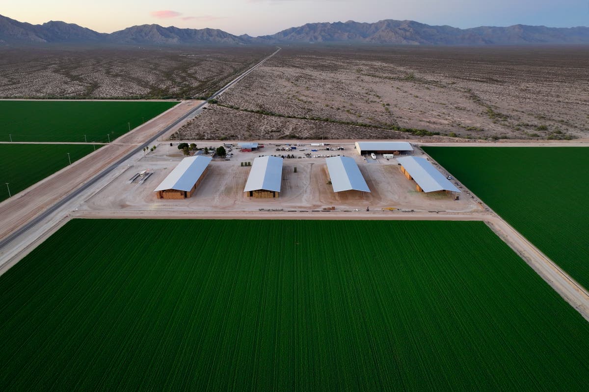 Напрежението нараства в жадните ферми за люцерна в Аризона, тъй като чуждестранни фирми експлоатират нерегламентирана вода