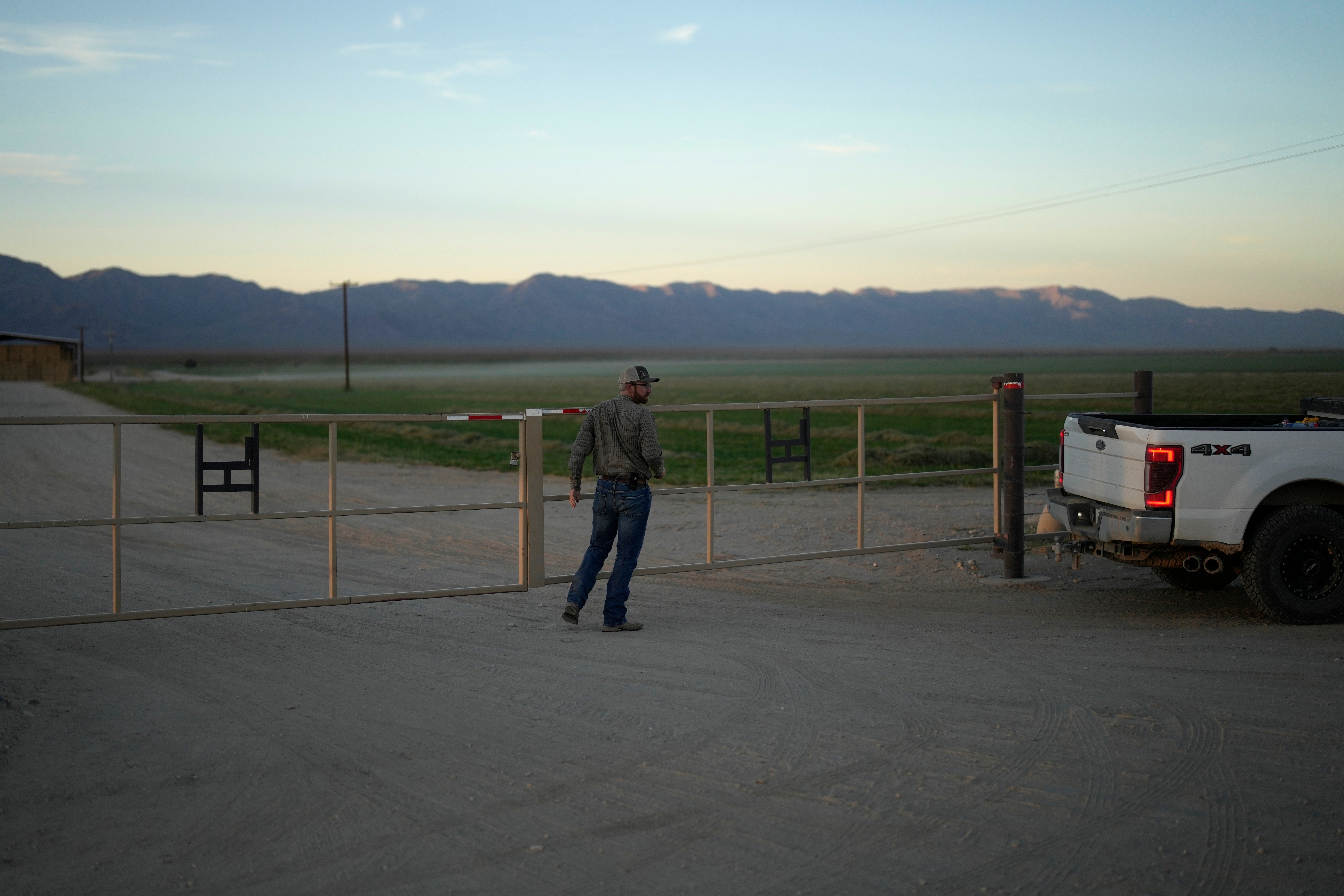 COP28 Climate UAE Alfalfa Water