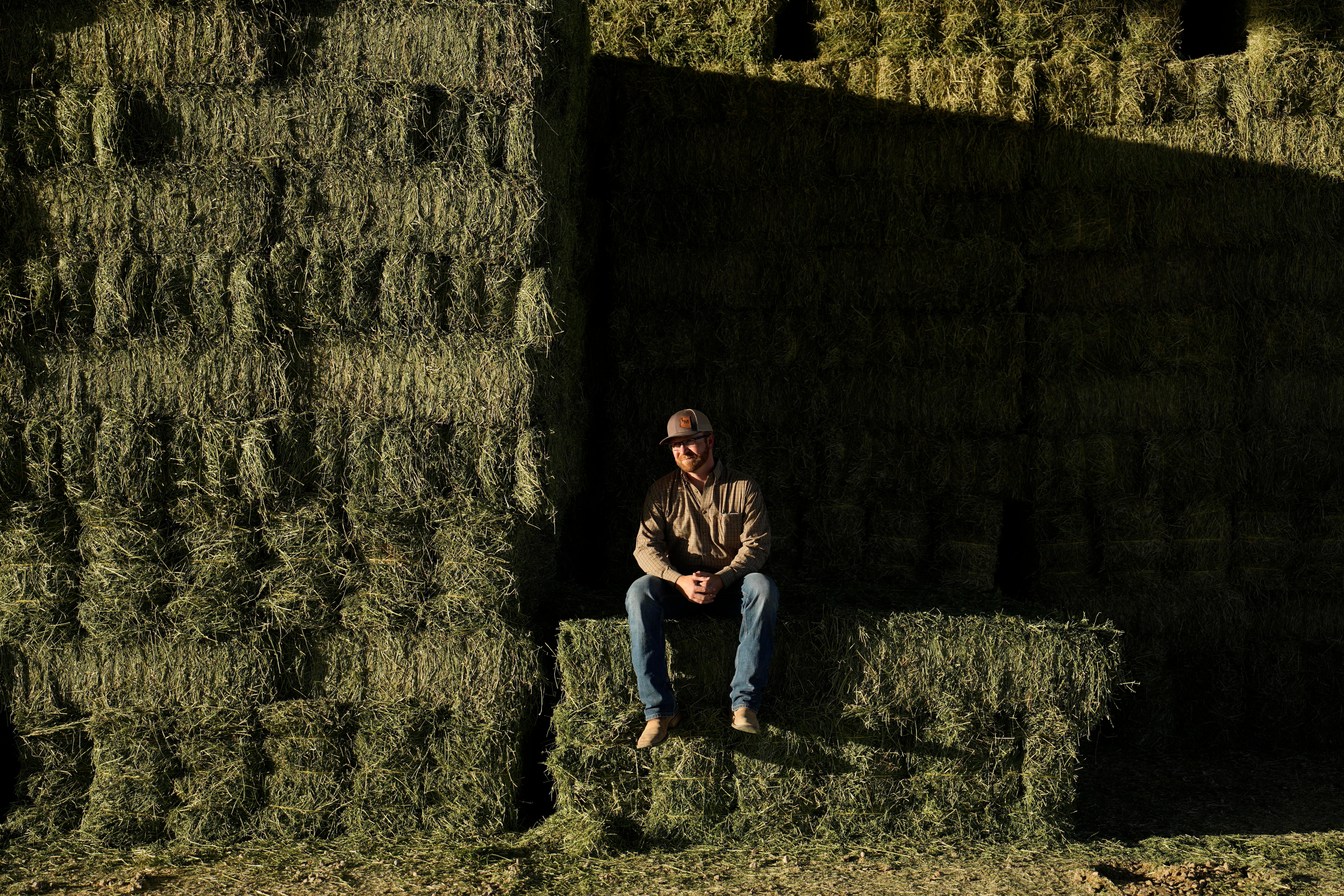 COP28 Climate UAE Alfalfa Water