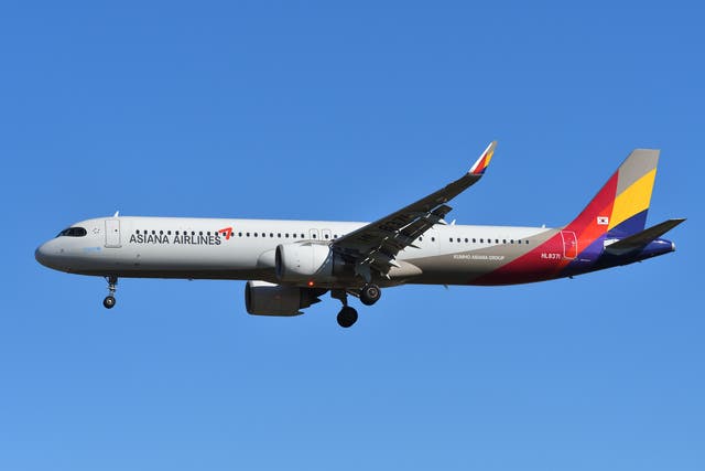 <p>One incident happened in May onboard an Asiana Airlines flight </p>