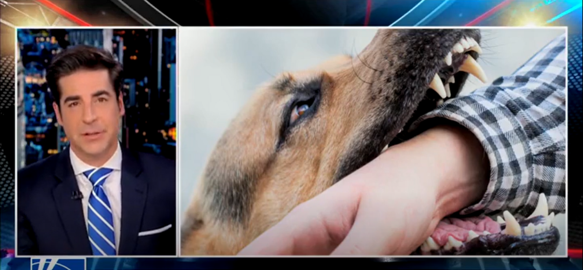 Джеси Уотърс от Fox News твърди, че е бил ухапан от куче на демократ