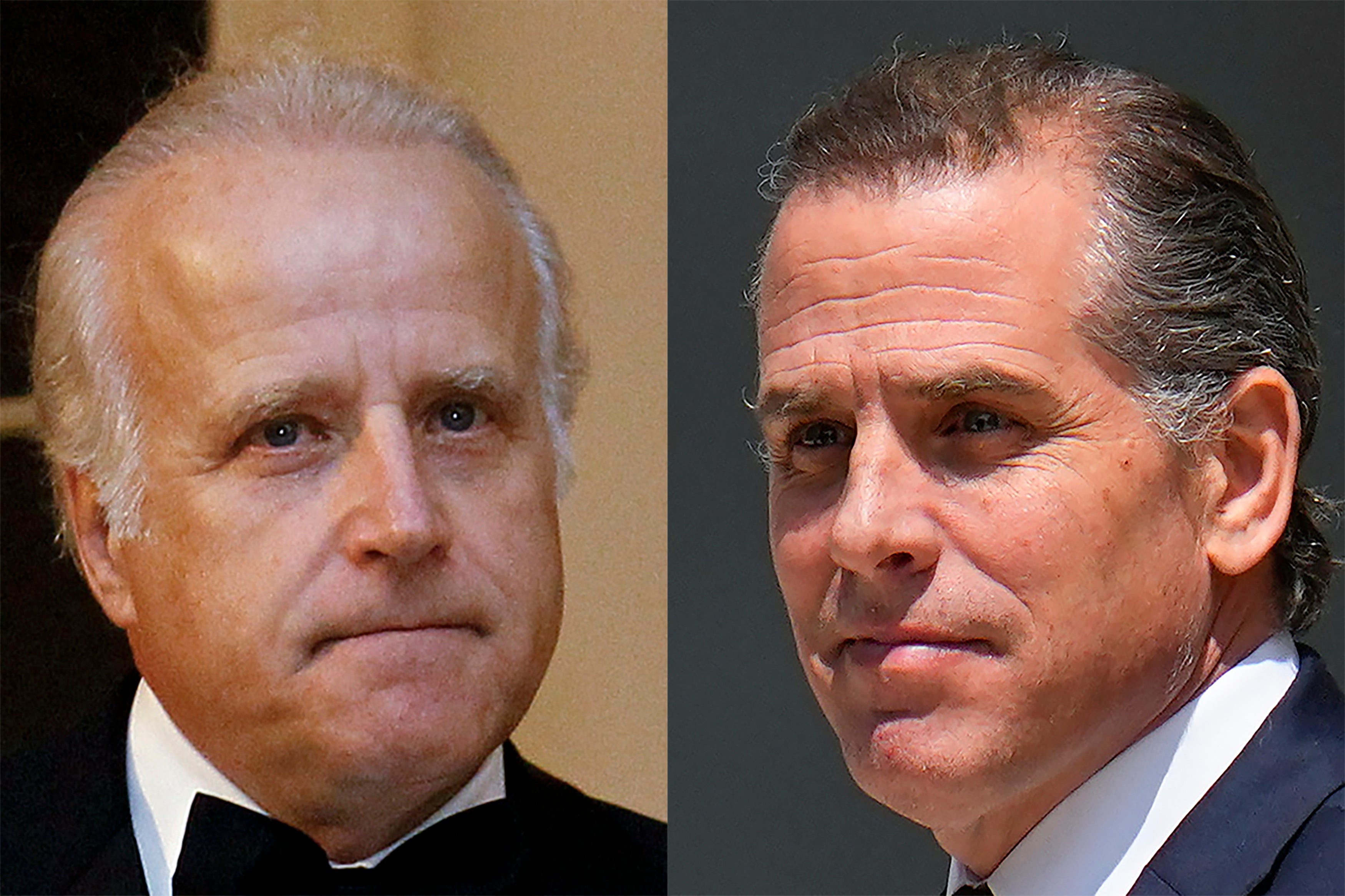 James Biden (left) and Hunter Biden (right)