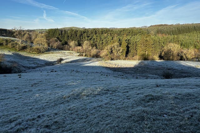 Frost on grass near Lockerbie, Dumfriesshire (Kerry Thomas/PA)