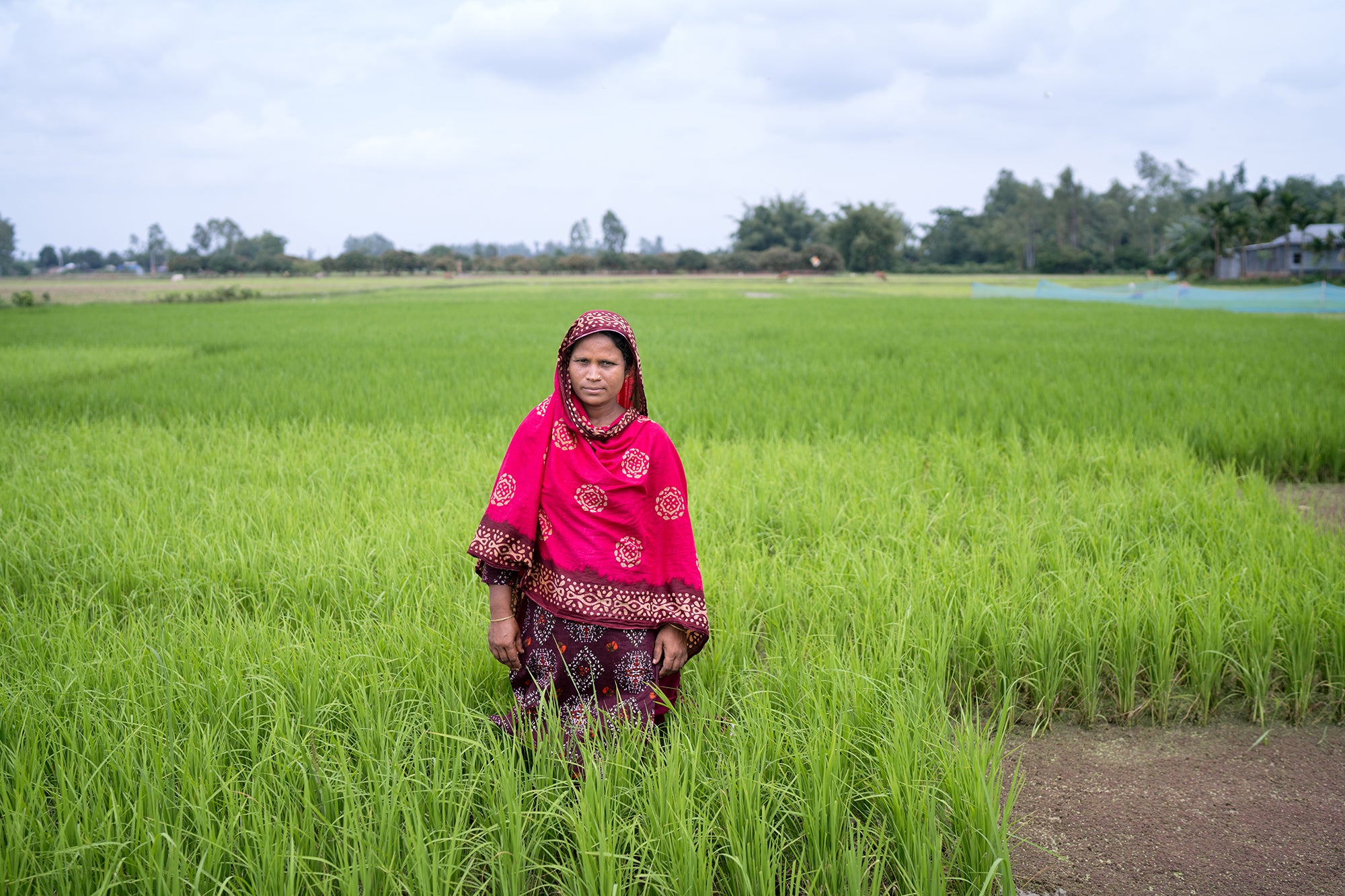 Rozina has been able to shield her family from the inflated prices of products on the market by producing her own seeds, growing vegetables using a self-made organic fertiliser and selling her produce
