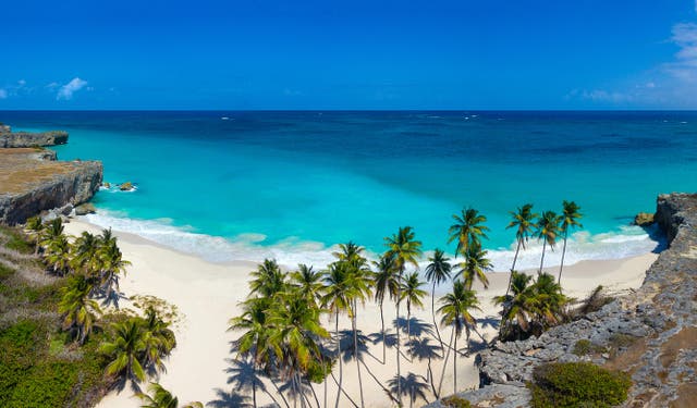 <p>Paradise found: Barbados boasts turquoise sea and white sand </p>
