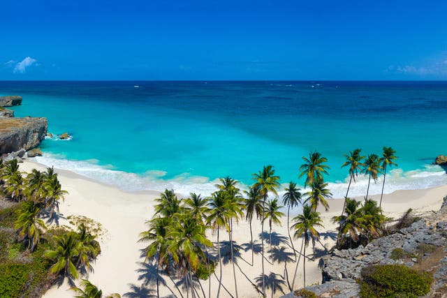 <p>Paradise found: Barbados boasts turquoise sea and white sand </p>