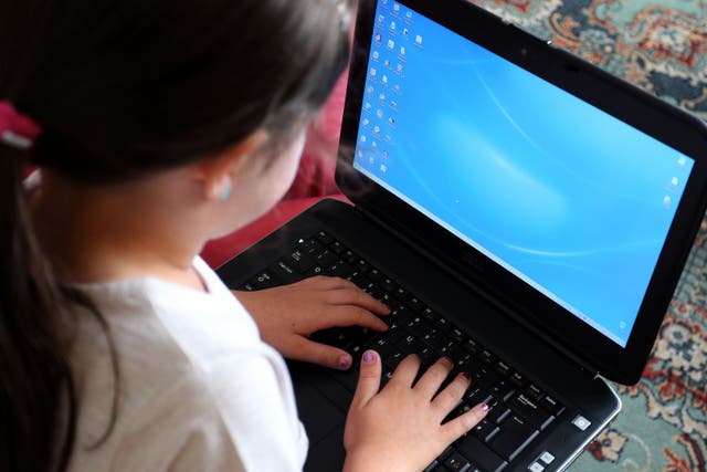 The BCS has called for a new alternative digital literacy qualification for secondary school pupils (Peter Byrne/PA)