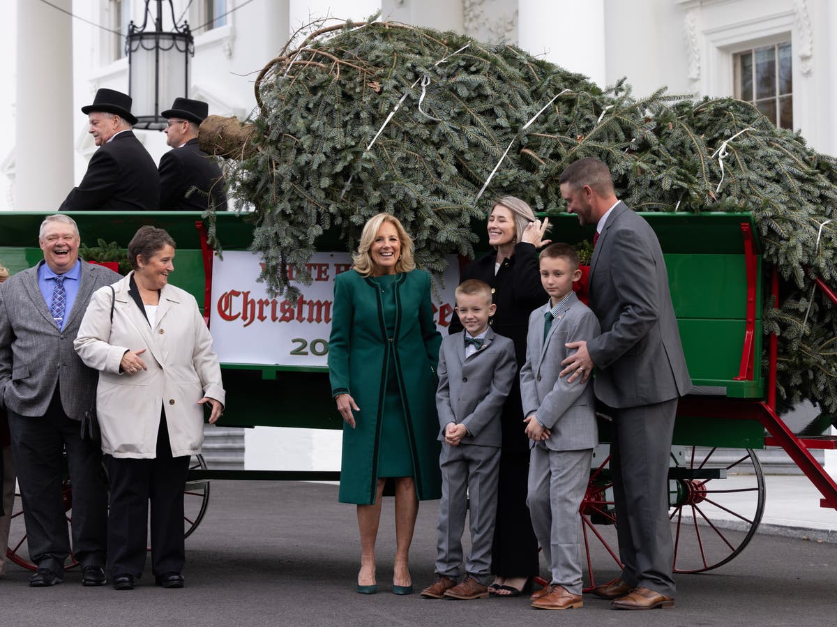 Коледната елха на Белия дом е съборена от вятър