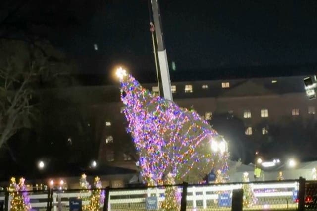 US White House Christmas Tree