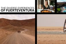 From watersports to wine tasting, discover the diverse appeals of Fuerteventura