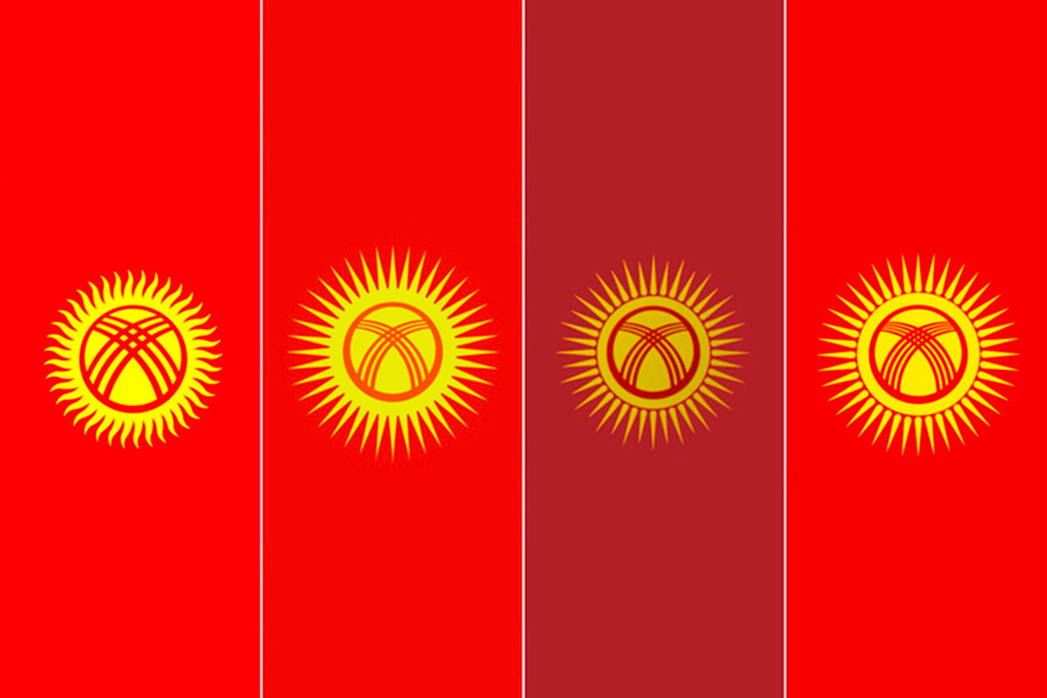 The flag of Kyrgyzstan (first from left), and ones proposed by MPs