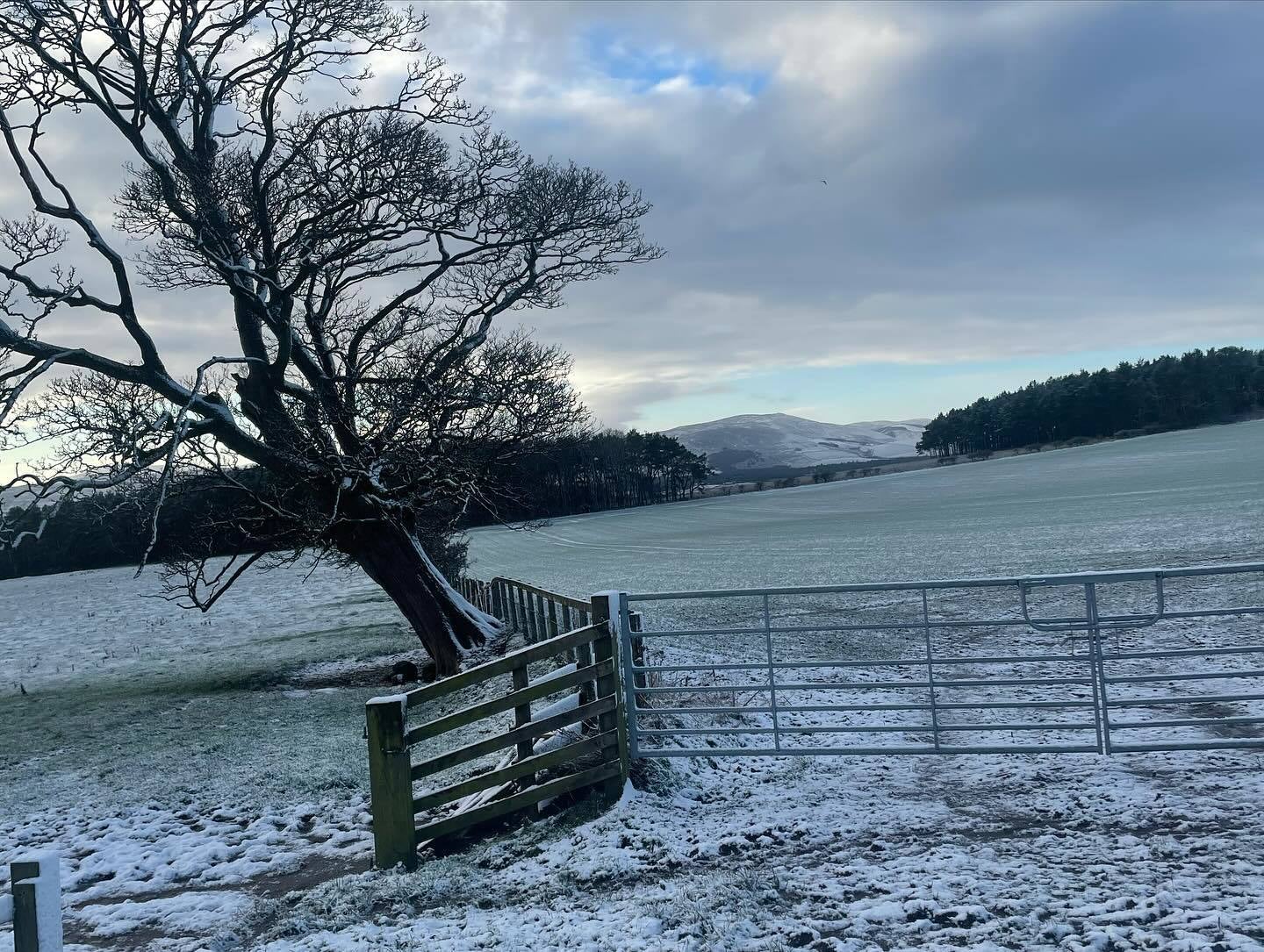 There’s a chance of some hill snow emerging this weekend in Scotland, according to the Met Office