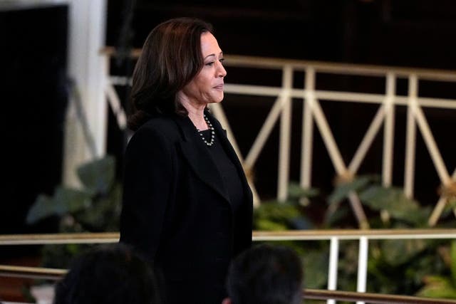 <p>Vice President Kamala Harris will attend the Cop28 conference in Dubai.</p>