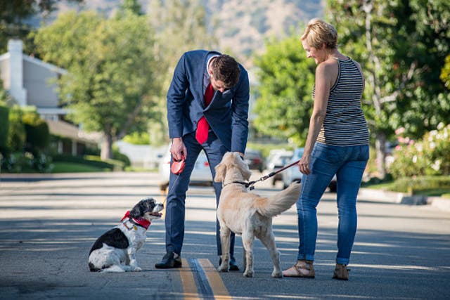 <p>Un hombre se niega a cambiar el nombre a su perro tras pedírselo un vecino y lo felicitan en las redes </p>