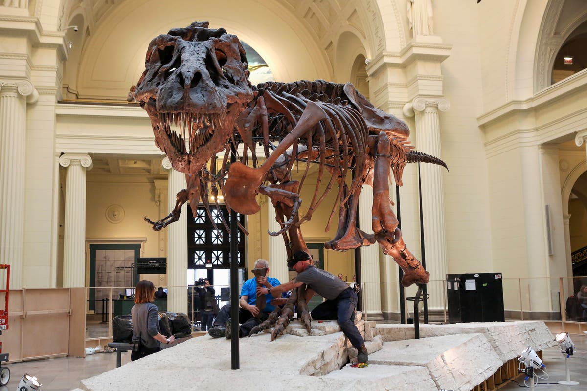 Оспорвани пари за наследство след смъртта на жена, спечелила милиони от продажбата на T-rex, остават