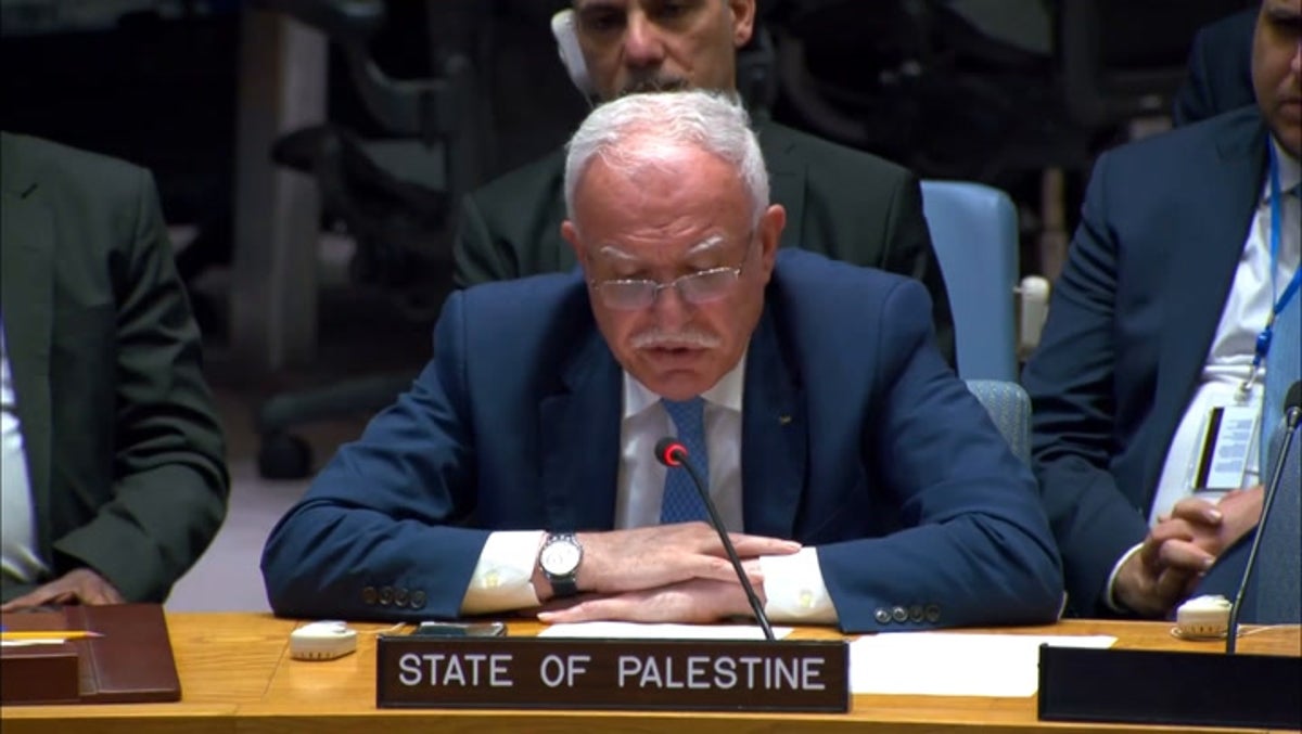 Palestine being erased ‘in broad daylight’, says UN ambassador
