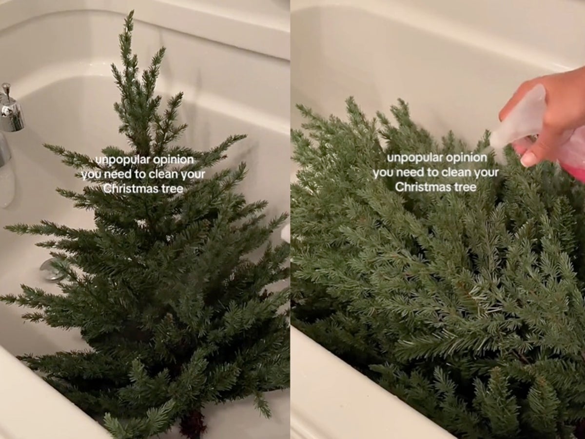 Woman divides internet after washing 'dusty' artificial Christmas tree