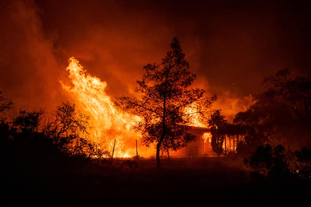 <p>Wildfires are growing larger under the hotter, drier conditions caused by climate change   </p>