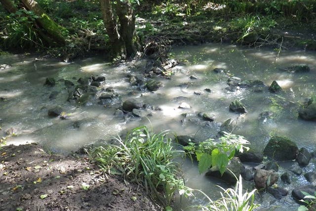 Yorkshire Water has paid a record ?1 million to environmental and wildlife charities after polluting Hookstone Beck (Environment Agency/PA)