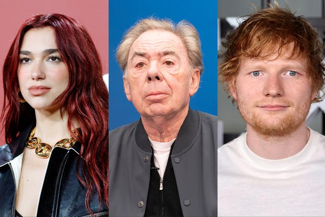 <p>Dua Lipa, Andrew Lloyd Webber and Ed Sheeran are among the stars calling for more music education support</p>