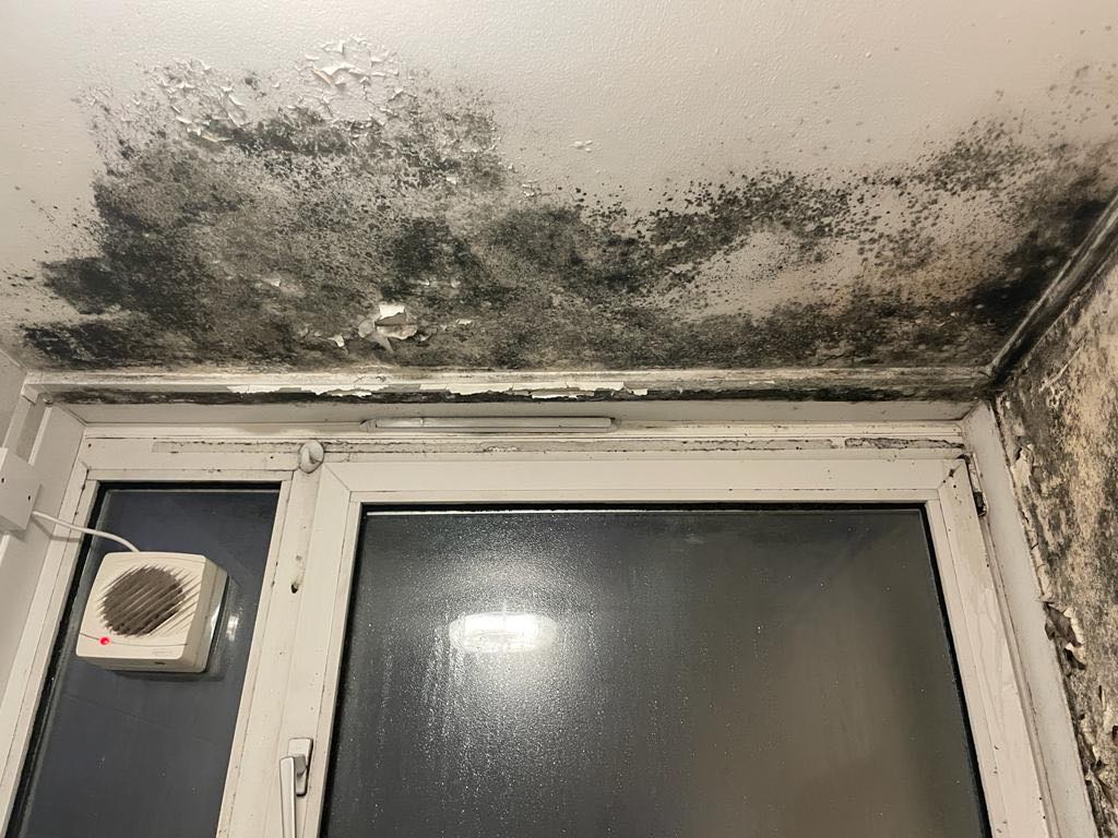 Mould in Ms Harrigan’s east London home – soaring energy bills mean she is unable to turn the heating on
