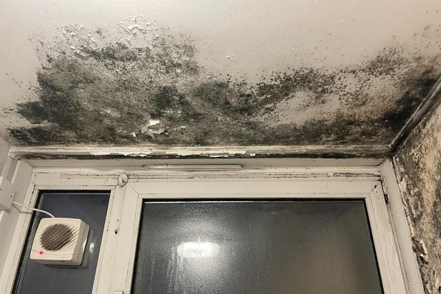 The 4 ways black mould can harm your child's health after boy, 2, dies in  infested flat