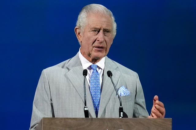 <p>Charles warned world leaders they needed to act now ‘to stem the growing toll of its most vulnerable victims’ </p>