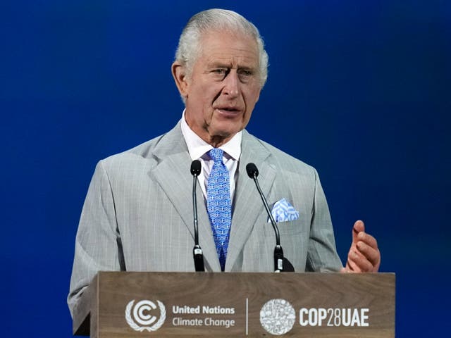 <p>Charles warned world leaders they needed to act now ‘to stem the growing toll of its most vulnerable victims’ </p>