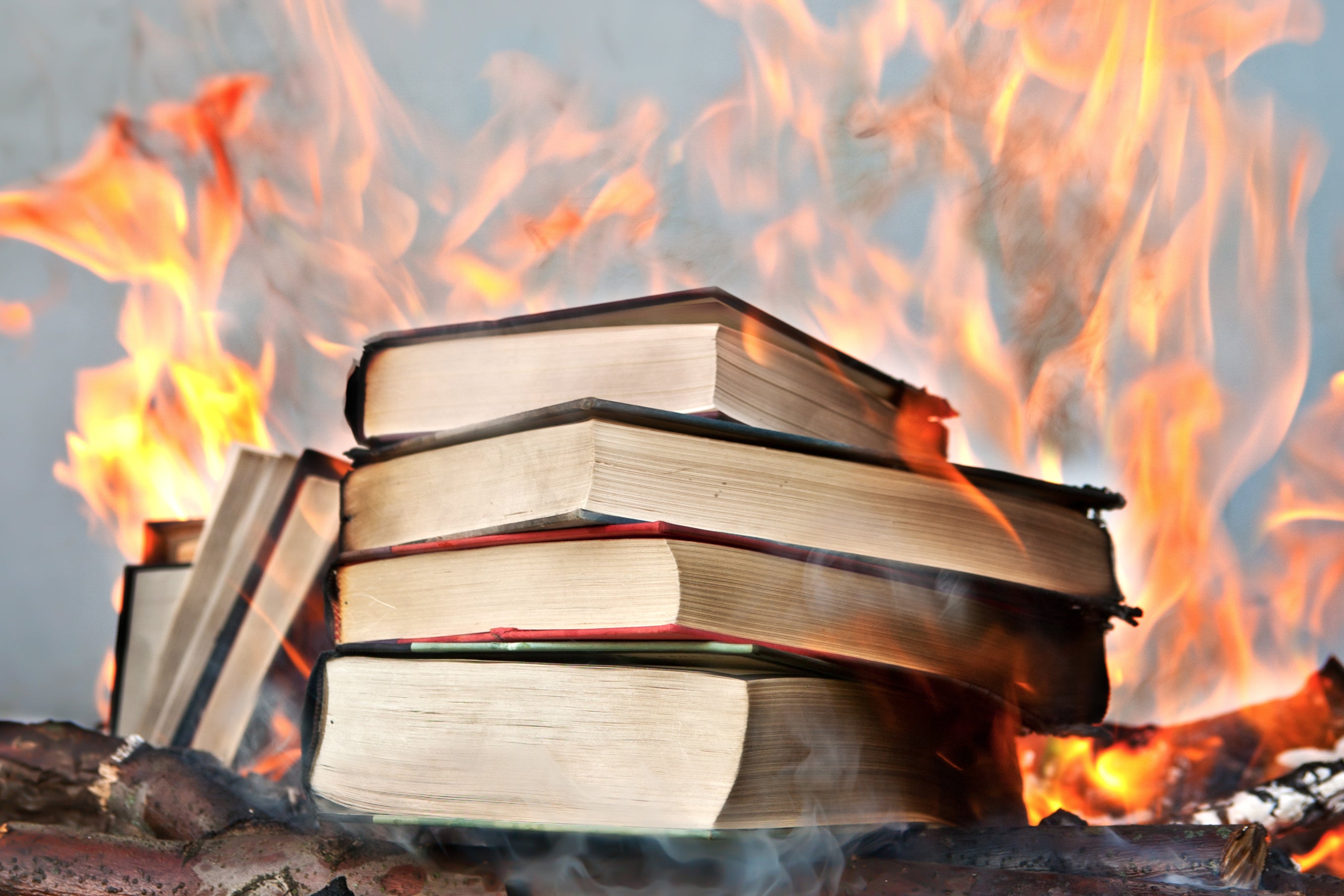 ‘We’re worried about the increasing temperature of culture wars, together with rising parental concern around what children are reading in school libraries’