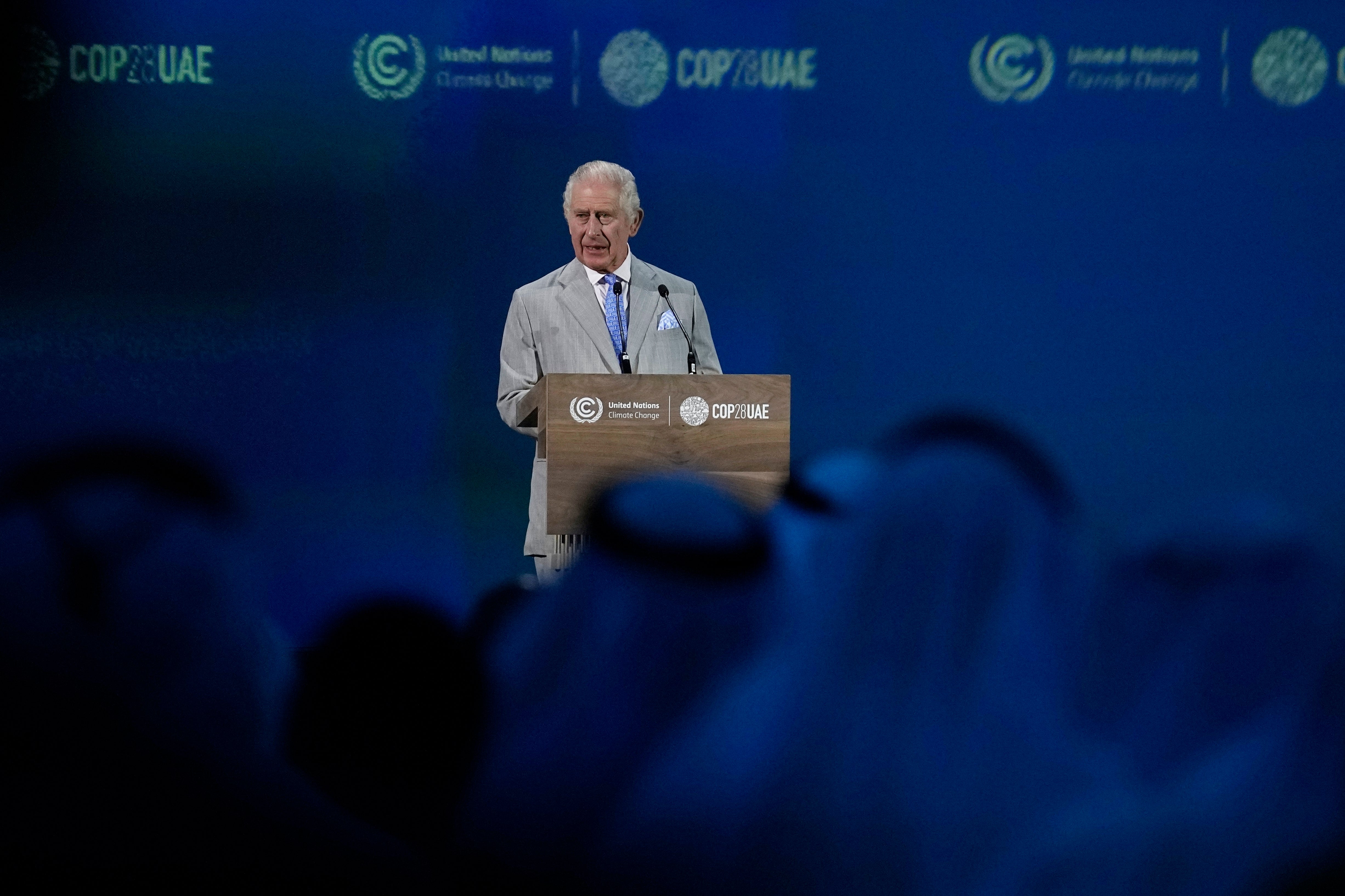 Charles speaks during the opening ceremony of the Cop28 UN climate summit earlier this month