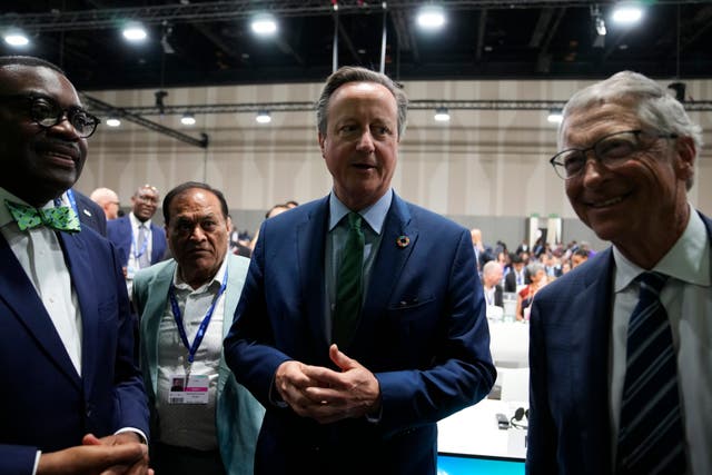 <p>David Cameron was among those courting the attention of Bill Gates at Cop28 in Dubai </p>