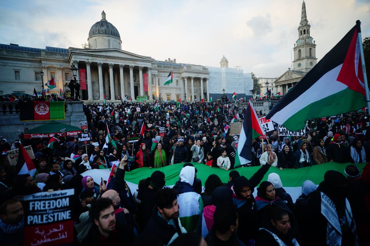 Met Has ‘locally Led’ London Policing Plan For Expected Pro-palestine 