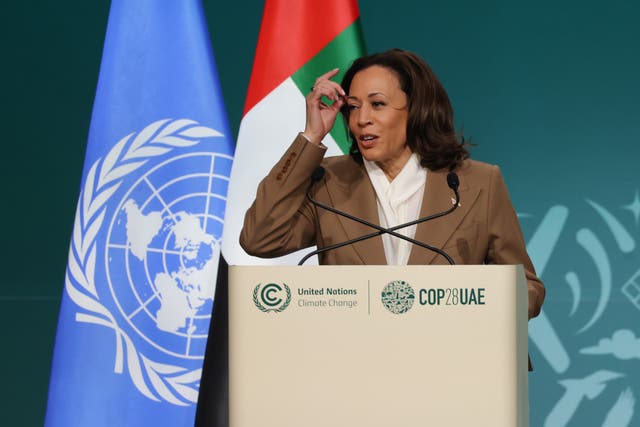 <p>US Vice President Kamala Harris addresses nearly 1,000 delegates inside the Al Hairat auditorium on day two of the high-level segment of Cop28 climate summit in Dubai </p>