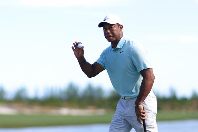 <p>Tiger Woods is well behind Scottie Scheffler atop the leaderboard </p>