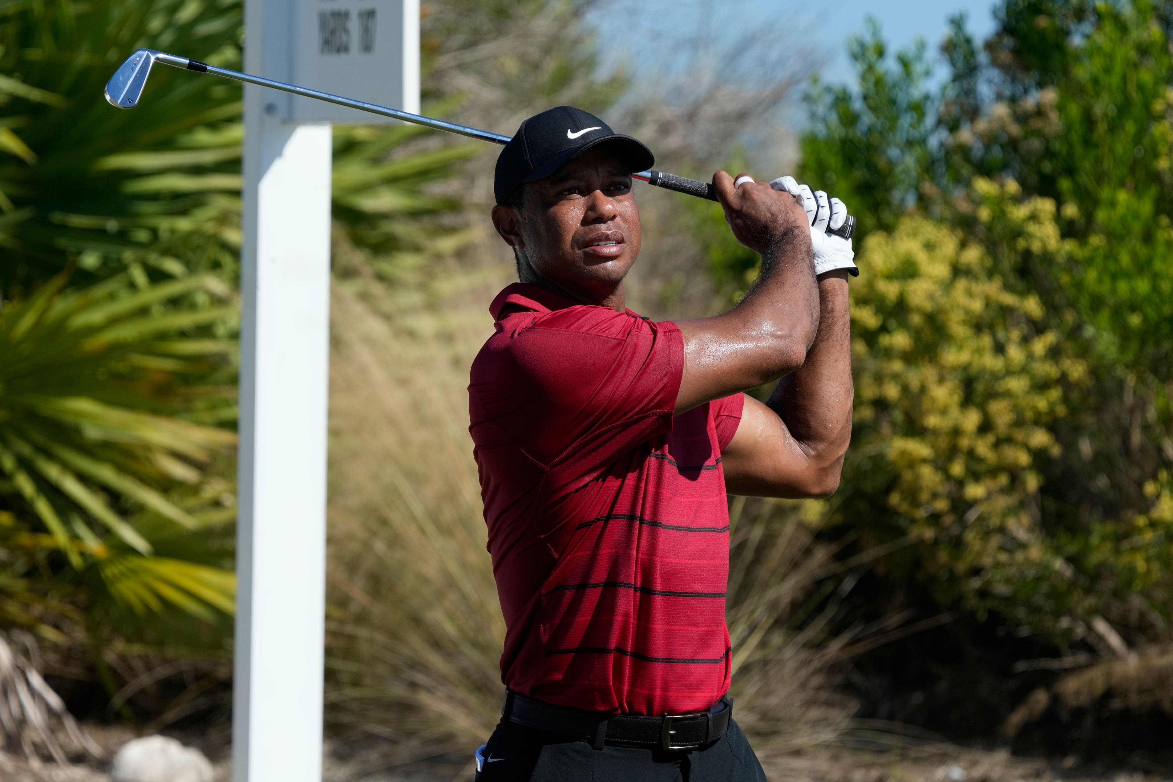 Tiger Woods finished level par at the Hero World Challenge in the Bahamas (Fernando Llano/AP)