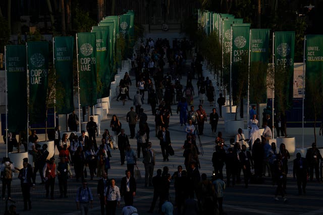 COP28-ASISTENTES