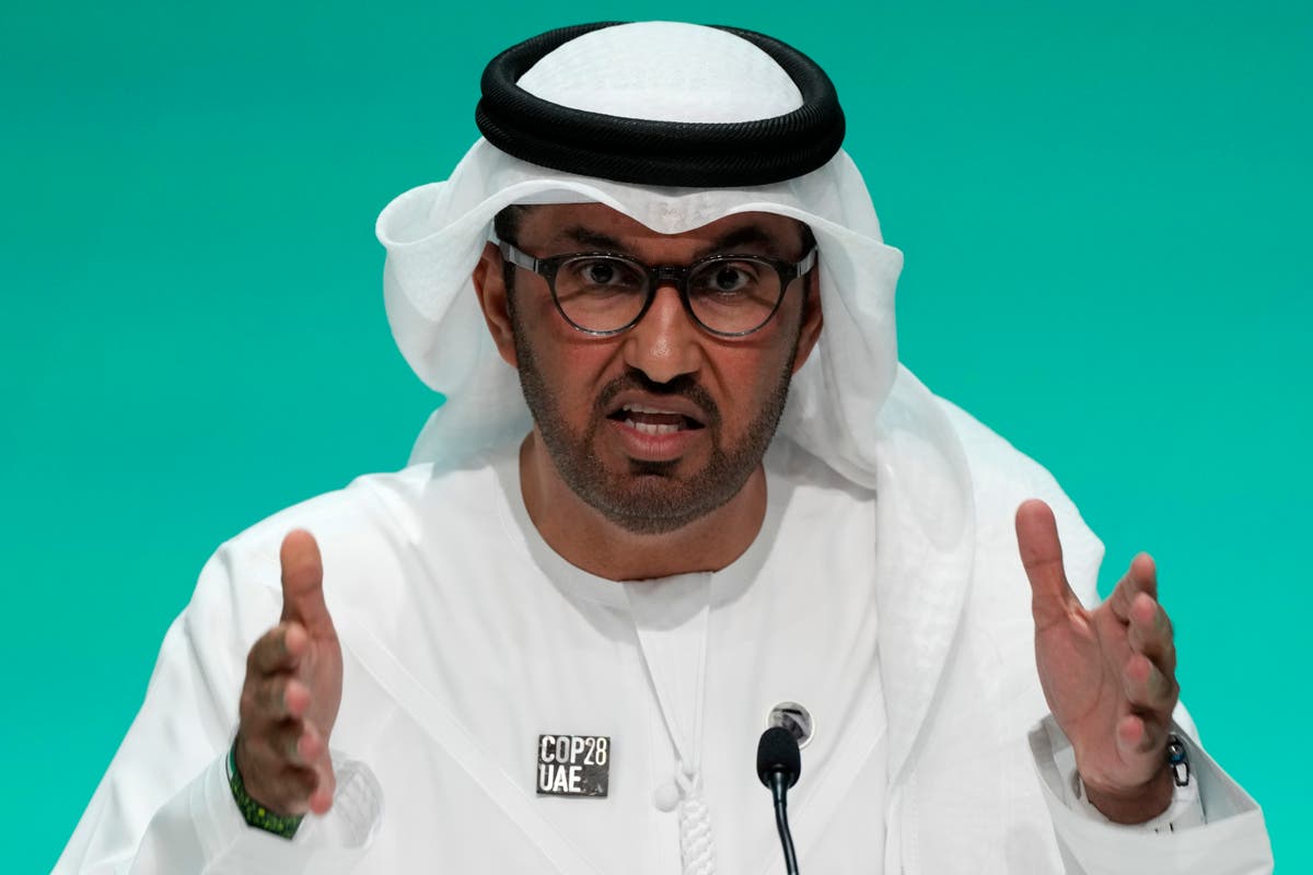 Коментарите на Султан ал Джабер подчертават двойствеността на Обединените арабски
