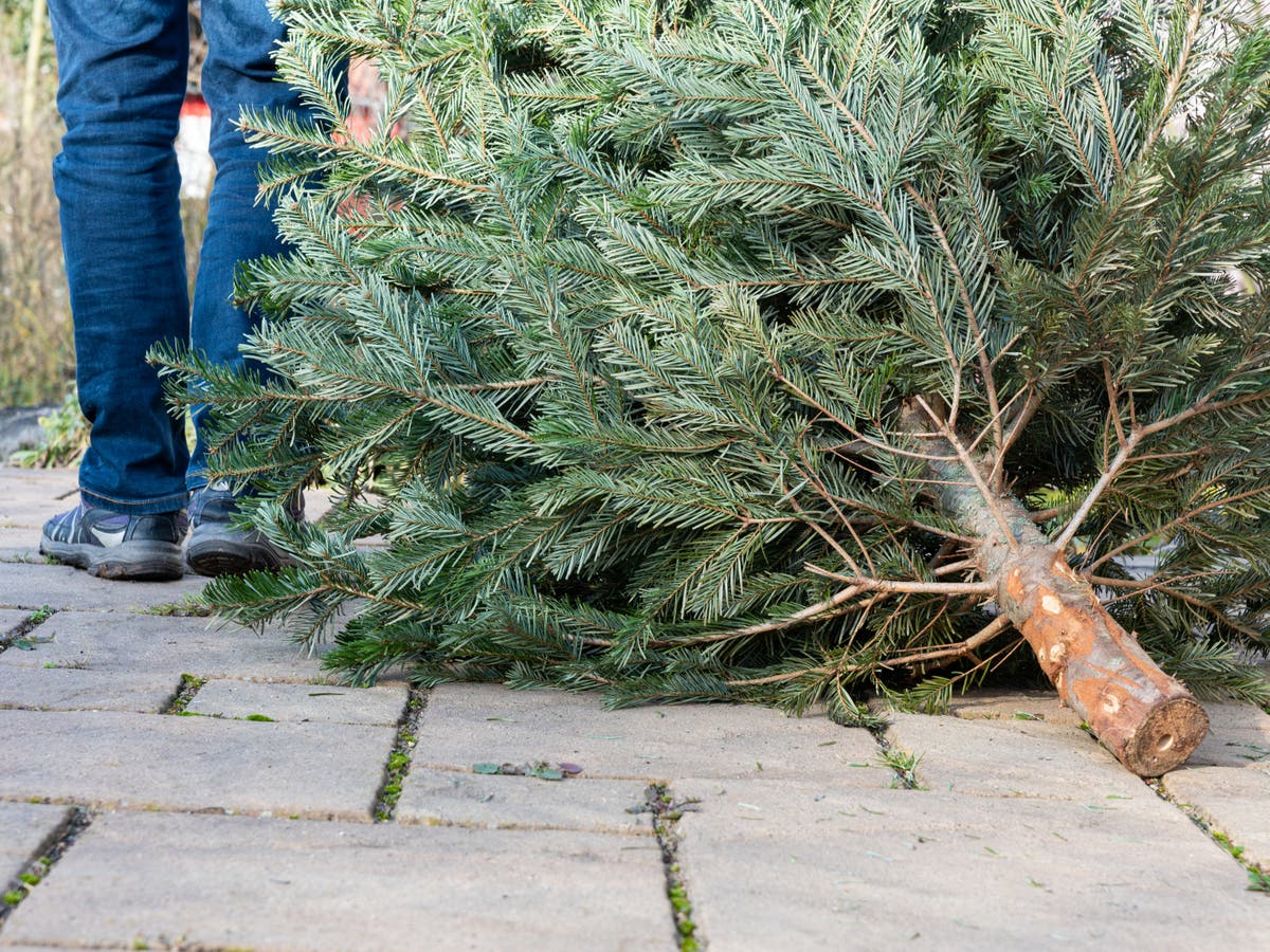 Believe it or not, buying a fake Christmas tree is better for the planet